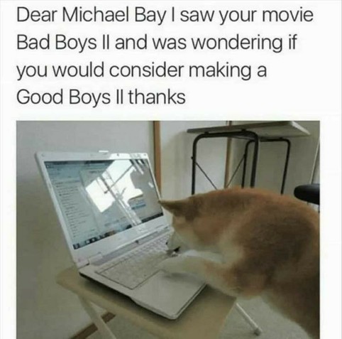 Dog with paws on a laptop keyboard, sending a message:
"Dear Michael Bay, I saw your movie Bad Boys II and was wondering if you would consider making a Good Boys II, thanks"