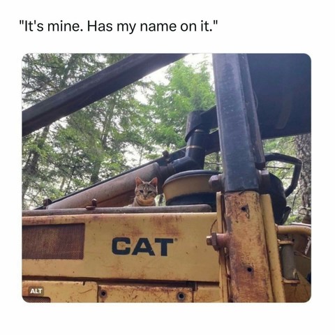 A cat head appears above a huge CAT* construction machine.
* CATerpillar
Comment says "It's mine. Has my name on it."