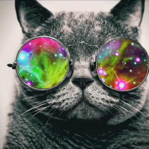 psychedelic cat - caturday