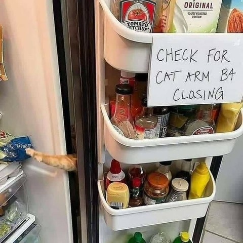 Open door of a fridge with a paper on it "check for cat arm before closing"
Indeed there's one...