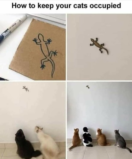 How to keep your cats occupied:
1 - draw a lizard on cardboard
2 - paste it (high) on a wall
3 & 4 - watch the cats watching...