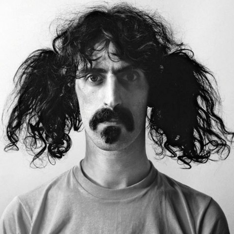 B&W photo of Franck Zappa with large black hair tails