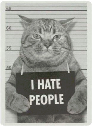 B&W mugshot of a chubby grey tabby cat, holding a sign "I hate people"