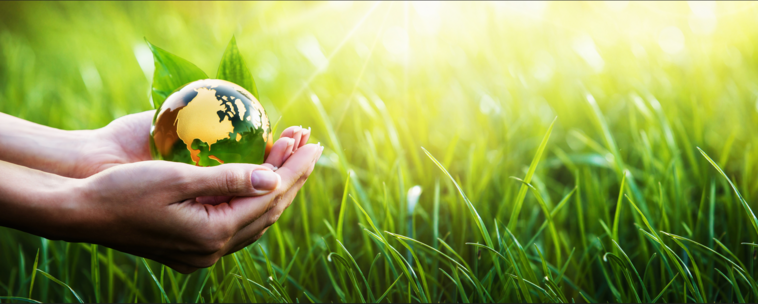 An early morning photograph of sun on abundant grass, a model of the globe cupped in outstretched human hands which, depending on the viewer, might invoke feelings of hope for the future, the possibility that despite the odds the climate crisis might be softened. A sense of freshness and newness, with humankind's role being to nurture our planet together in harmony.