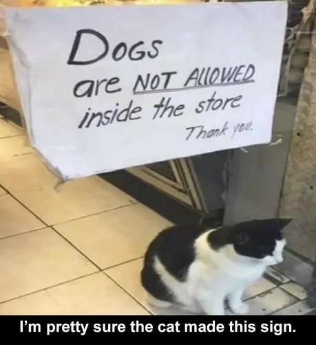 Black and white cat at a shop's door.
Sign says "Dogs are *not allowed* inside the store - Thank You."

I'm pretty sure the cat made this sign
