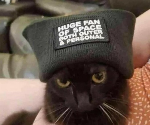 Black cat wears cap "Huge fan of space both outer & personal"