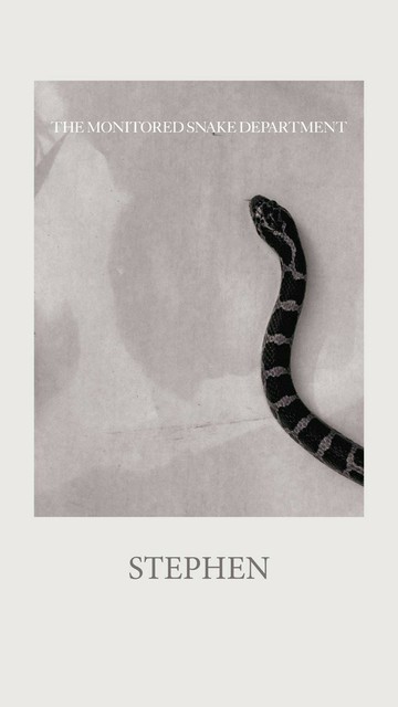 Azure Generated Description:
a snake on a white background (43.06% confidence)
---------------
Azure Generated Tags:
animal (99.57% confidence)
mammal (99.42% confidence)
snake (98.20% confidence)
reptile (94.08% confidence)
serpent (87.71% confidence)
text (85.78% confidence)
