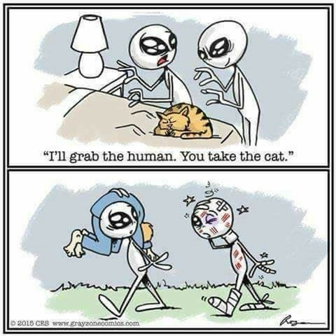Image1: 2 aliens in a human bedroom, ready to adbuct "I'll grab the human. You take the cat."

Image2: They're walking outside. First alien has an unconsicous man on its shoulder. Second alien is covered in bandages and scratches, and looks quite bad...