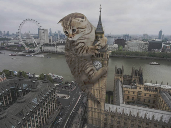 Altered image of a kitten hanging/holding on the Big Ben tower