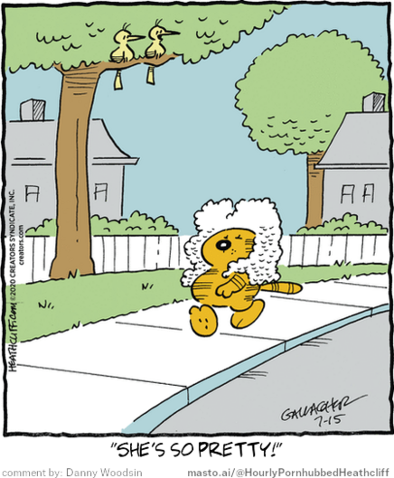 Original Heathcliff comic from July 15, 2020
New caption: 
