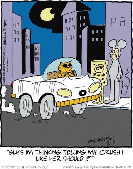Original Heathcliff comic from August 3, 2020
New caption: 