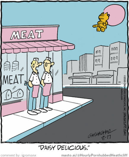 Original Heathcliff comic from August 17, 2020
New caption: 