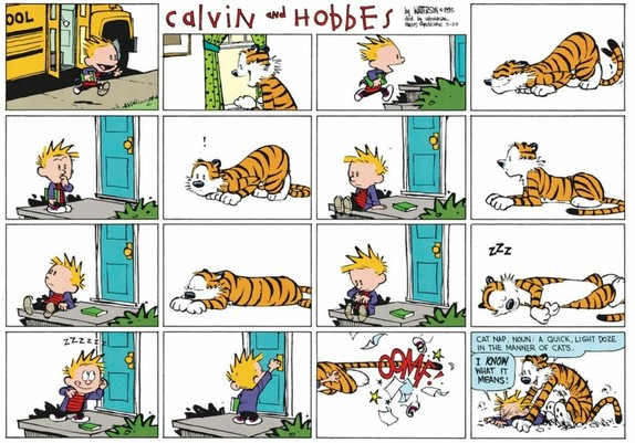 1 Calvin comes back from school with the schoolbus
2 Hobbes is happy while looking out the window
3 Calvin rushes to the house
4 Hobbes is ready to pounce
5 Calvin stops and hesitates
6 Hobbes is wondering why the door doesn't open
7 Calvin sits on the porch
8 Hobbes is waiting
9 Calvin looks at the sky
10 Hobbes goes back to sleep
11 Calvin takes a look at his watch
12 Hobbes is sleeping "zzz"
13 Calvin hears that Hobbes is sleeping through the door
14 he decides to enter the house
15 Hobbes p…