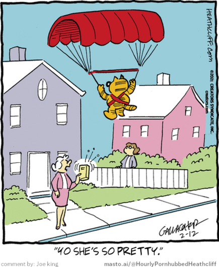 Original Heathcliff comic from February 12, 2021
New caption: 