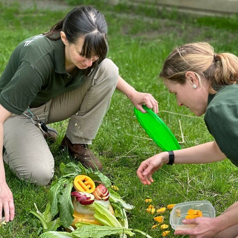 Azure Generated Description:
a man and a woman cutting vegetables (47.04% confidence)
---------------
Azure Generated Tags:
person (99.84% confidence)
grass (99.83% confidence)
clothing (99.67% confidence)
outdoor (95.84% confidence)
plant (95.21% confidence)
flower (92.97% confidence)
woman (73.09% confidence)
people (64.75% confidence)
vegetable (63.72% confidence)
