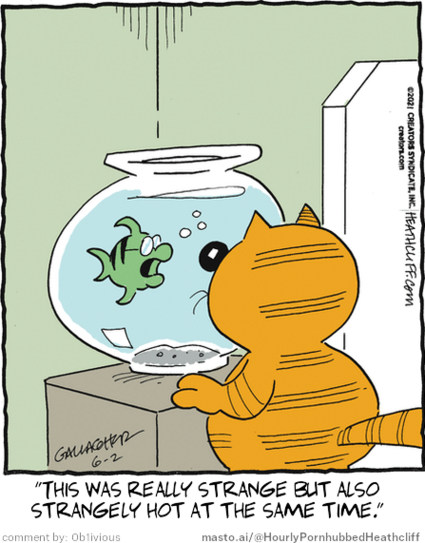 Original Heathcliff comic from June 2, 2021
New caption: 