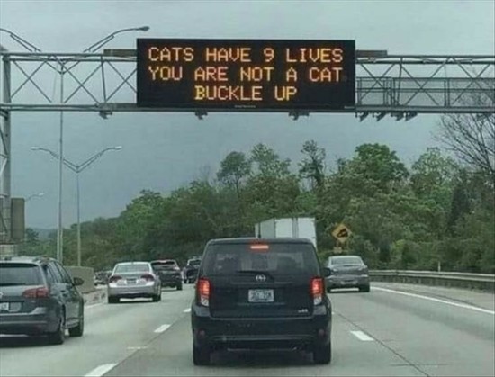 Sign on highway:
"Cats have 9 lives
You are not a cat
Buckle up"