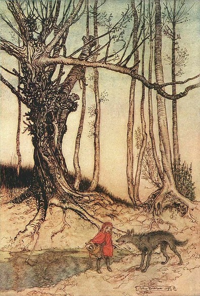 Little Red Riding Hood meets a wold in the sparse winter woods. Art by Arthur Rackham.