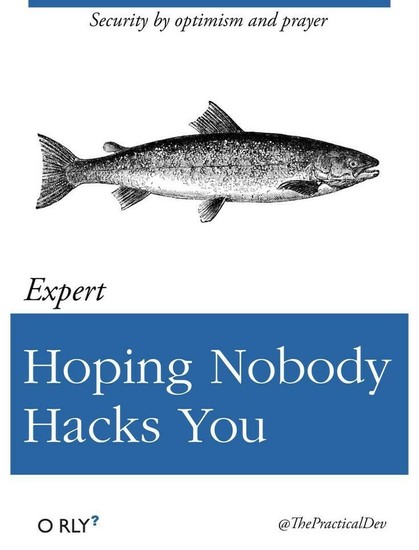 (fake) book cover

Title: Hoping Nobody Hacks You
Security by optimism and prayer

Level: expert