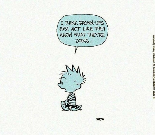 Calvin, walking alone: "I think grown-ups just ACT like they know what they're doing."

Grey background, drawing in black, filled with blue