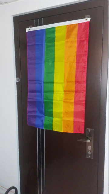 A pride flag hung vertically on a door. It has fold creases that lines up to make a grid of creases.