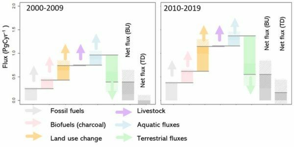 Graphs 2000-2009 & 2010-2019

"Summarising the key components of the African Carbon Cycle and their change over the first two decades of this century. Anthropogenic activities such as fossil fuel burning and agricultural activities release carbon dioxide and other GHGs into the atmosphere. Some of this carbon gets taken up again through ecological processes such as weathering and plant growth, so the net amount accumulating in the atmosphere is often less than the anthropogenic sources. Arrows …