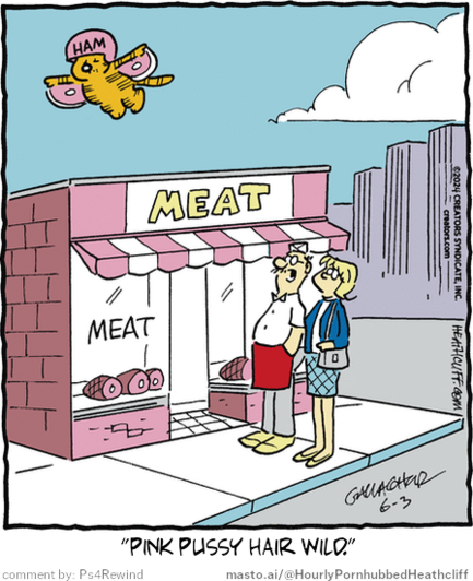 Original Heathcliff comic from June 3, 2024
New caption: 