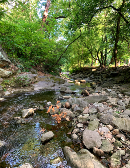 Looking downstream, a narrow stream winds through rocky terrain surrounded by woods. The left bank is lined with large sheets of rock, while the right bank is covered with many individual rocks.