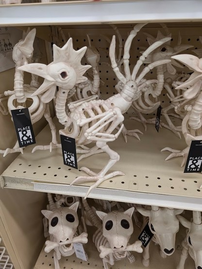 Photo of several plastic Halloween decorations on a store shelf. The decoration appears to be a skeleton that is supposed to be a rooster. In addition to the expected parts of such a skeleton, there are also 