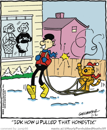 Original Heathcliff comic from January 2, 2013
New caption: 