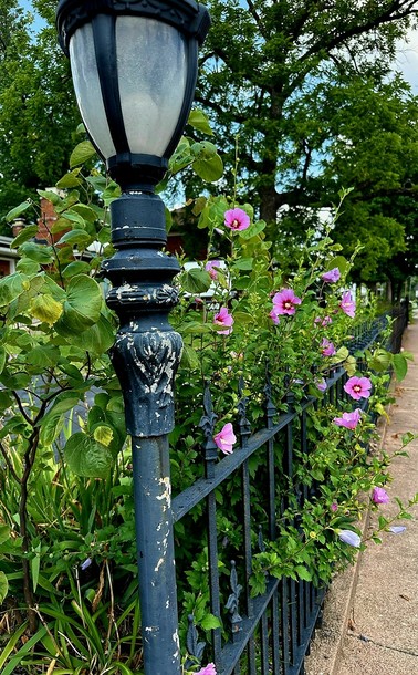Close up of Antique Light-post and fence, surrounded by flowers