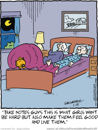 Original Heathcliff comic from January 19, 2013
New caption: 