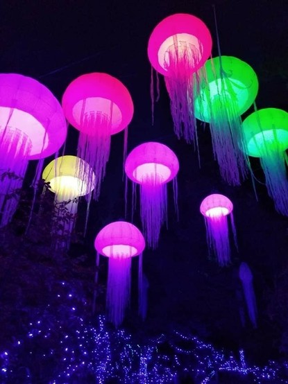Azure Generated Description:
a group of colorful lanterns (35.04% confidence)
---------------
Azure Generated Tags:
jellyfish (88.83% confidence)
majorelle blue (87.10% confidence)
purple (87.03% confidence)
magenta (86.68% confidence)
coelenterate (86.46% confidence)
violet (85.64% confidence)
lighting (85.02% confidence)
light (74.44% confidence)
animal (58.60% confidence)
night (50.98% confidence)
