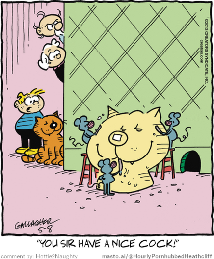 Original Heathcliff comic from May 8, 2013
New caption: 