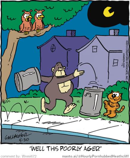 Original Heathcliff comic from May 30, 2013
New caption: 