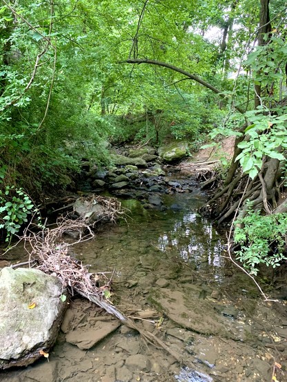 A small tributary, which feeds the Darby Creek, is coming out of bushy areas, flowing through rocky terrain.