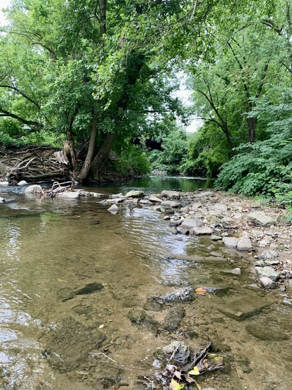 The creek flows through wooded areas. The stream is winding, looking towards downstream, there is a stream pool in front of you, leading to a short riffle that feeds another pool downstream.