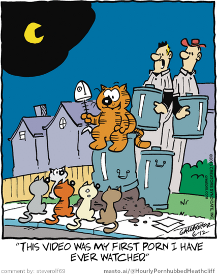 Original Heathcliff comic from June 12, 2013
New caption: 