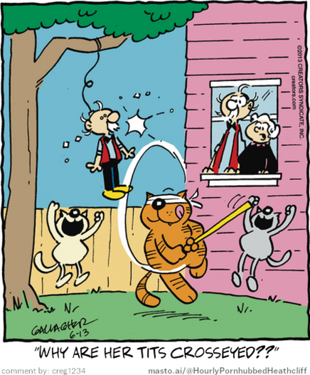 Original Heathcliff comic from June 13, 2013
New caption: 