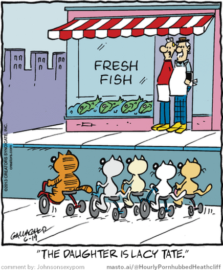 Original Heathcliff comic from June 19, 2013
New caption: 