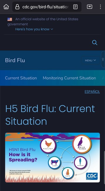 Graphic with blue, and white background, orange grass and purple mountains. There are 5 icons each in a circle: Poultry, wild birds, cows, humans, cats. Words say H5N1 Bird Flu. How is it spreading?