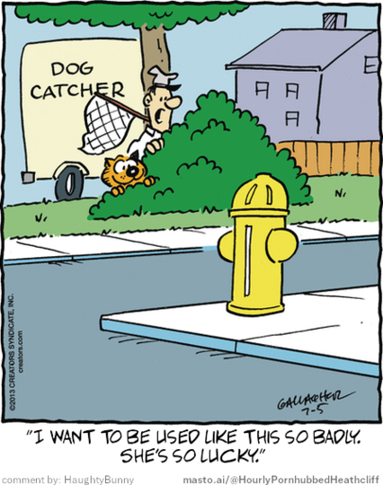 Original Heathcliff comic from July 5, 2013
New caption: 