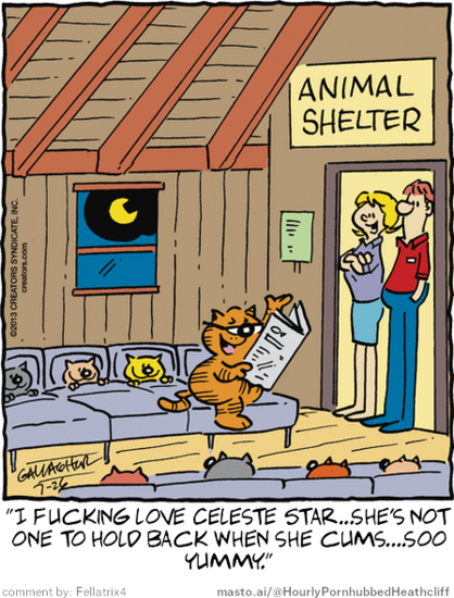 Original Heathcliff comic from July 26, 2013
New caption: 