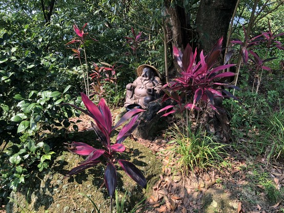 A small buddha statue behind colorful flowers next to a path leading up to Little Nangang Hill.