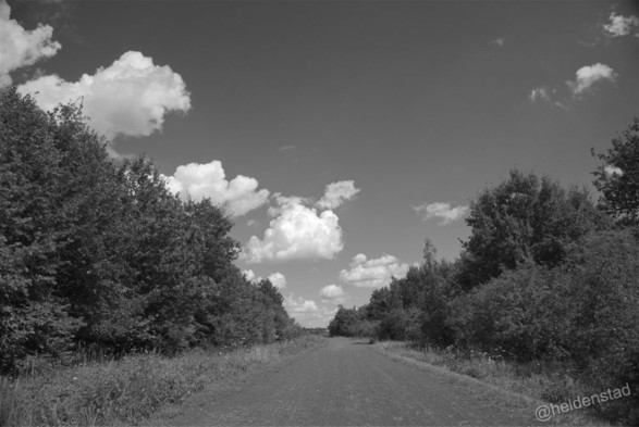 Zwart-wit foto van een breed pad met gravelbedekking. Aan weerszijden staan bomen in volle bloei. In de lucht enkele wolken.