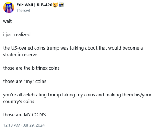 Eric Wall | BIP-420 [@ercwl on X]
wait
i just realized
the US-owned coins trump was talking about that would become a strategic reserve
those are the bitfinex coins
those are *my* coins
you're all celebrating trump taking my coins and making them his/your country’s coins
those are MY COINS

12:13 AM - Jul 29, 2024