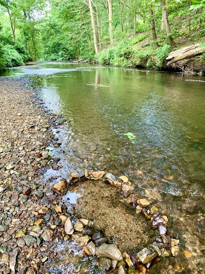 A small, round fish trap was built with rocks from the pebble beach near the left bank. The creek flows through suburban woodland, and this section of the creek is wide and shallow. Many trees are in the background.