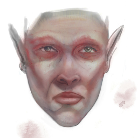 A sketch painting of an elven male face, done to practice watercolour brushes. There is no hair rendered. 