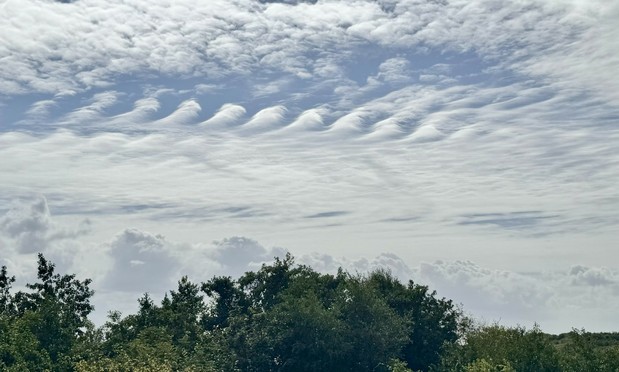 Een grotendeels bewolkte lucht, met een strook blauw. In de strook blauw drijven een soort gegolfde wolken, die wel iets weg hebben van de rugplaten van een stegosaurus. 