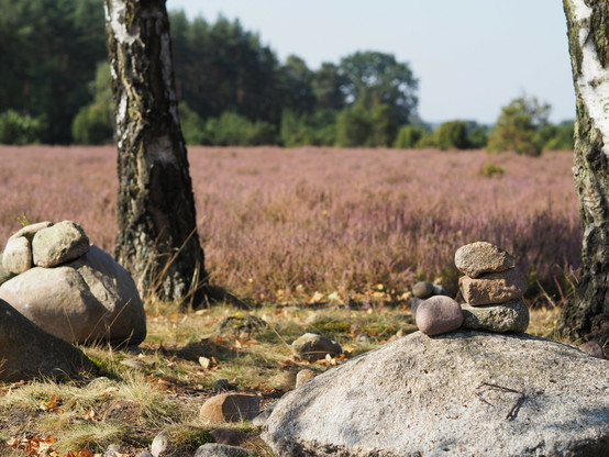 A man-made tower of stones set on a larger rock set among the heather 